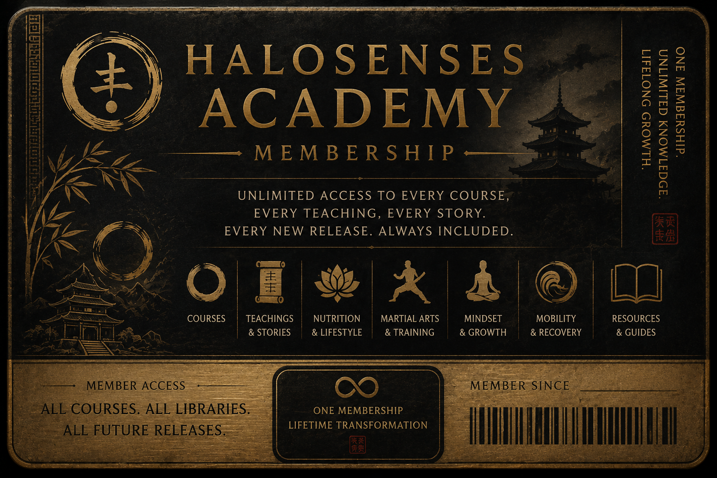 Halo Senses Academy