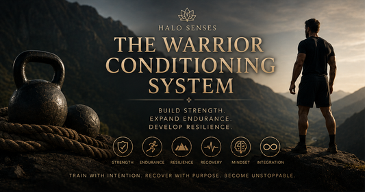THE WARRIOR CONDITIONING SYSTEM