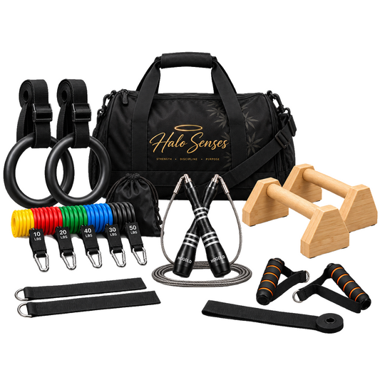 Halo Senses Training Kit