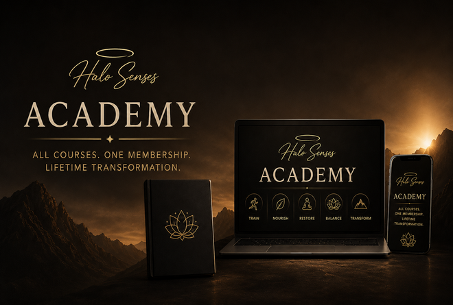 Halo Senses Academy