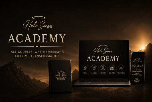 Halo Senses Academy